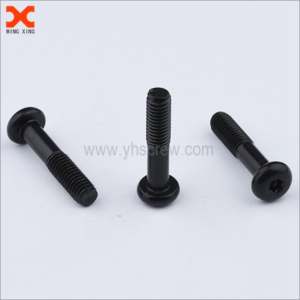 Custom captive torx security screws manufacturer