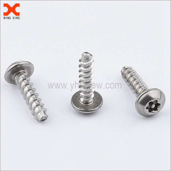 Special pin torx stainless security screws supplier