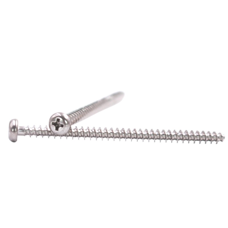 High Level Stainless Steel Pan Head Phillips Torx Pipe Thread Screw