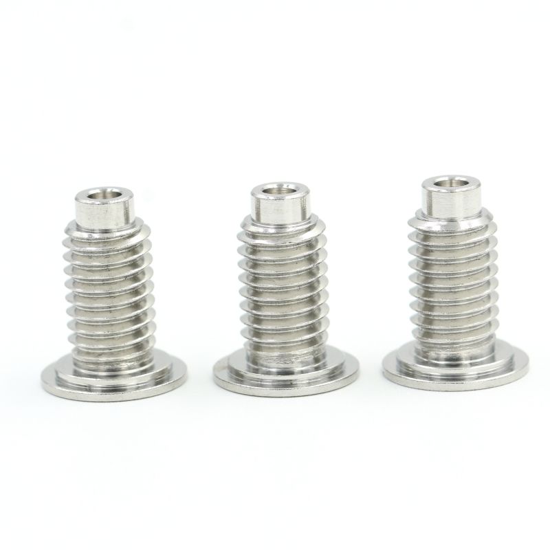 Customized non standard fastner stainless steel